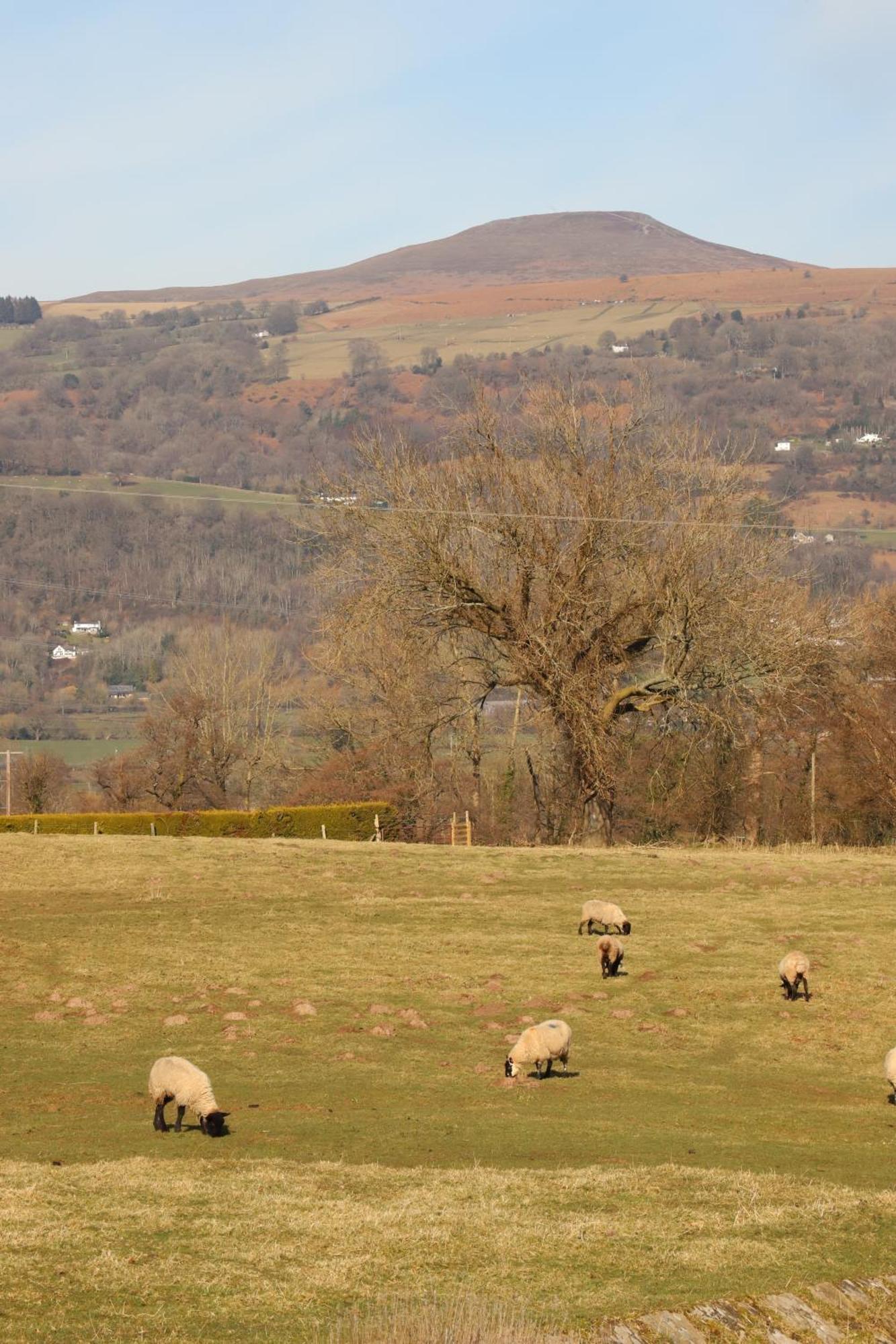 אברגאבני Cowshed In The Black Mountains מראה חיצוני תמונה